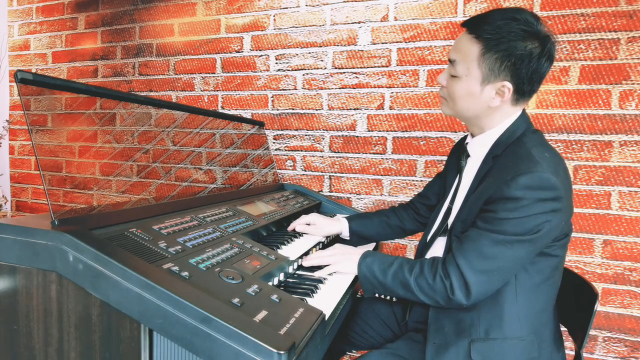 《让我们荡起双桨》双排键演奏:殷铁凡