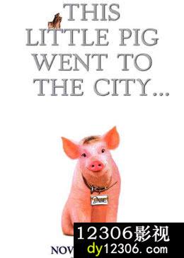 小猪宝贝2：小猪进城在线观看