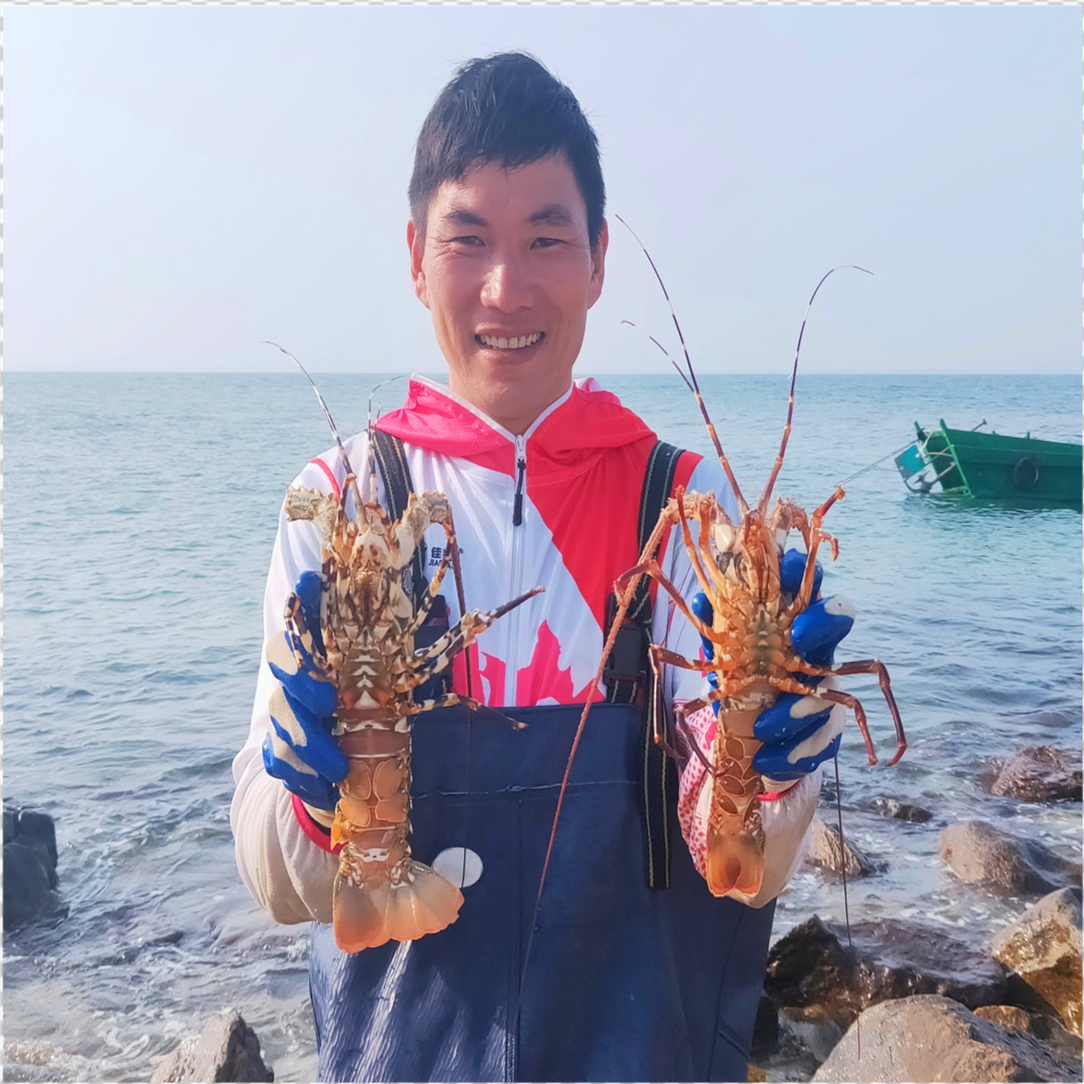 老渔民教阿广不一样的抓螃蟹方法,青苔底下喜得大青蟹,真过瘾