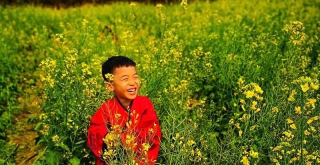 油菜花地里笑的小男孩图片