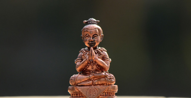 六度园最新文章