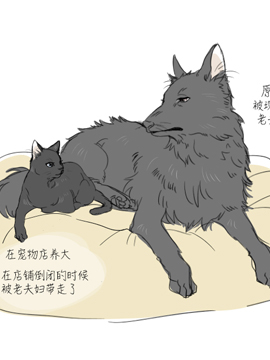 狗狗猫猫漫画全集免费 下拉式 阅读 仙漫网