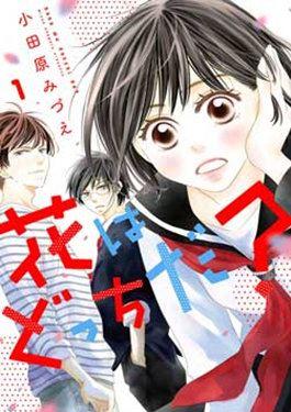 谁是那朵解语花 谁是那朵解语花更新至第17话 谁是那朵解语花下拉式阅读 大树漫画