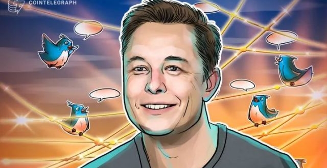 马斯克最近的推文没有促使狗狗币价格大幅上涨,反而使shib飙升300%