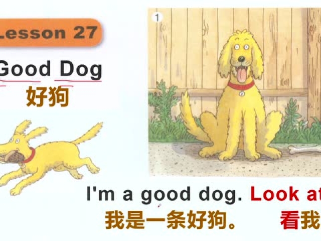 典范英语1a领读课,good dog 好狗,好教材能帮你更快开口讲英语