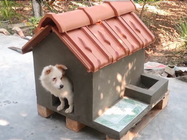 老板请我砌狗窝,开始说好的工钱600,结果看到成品直接给我900