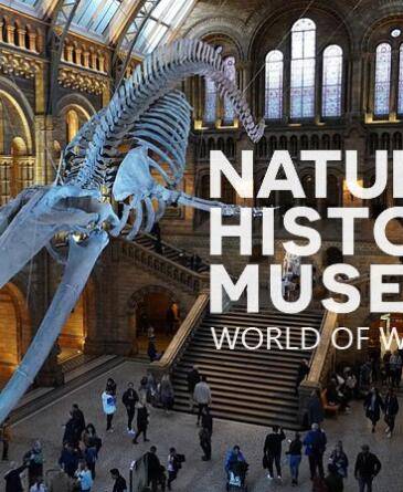 英国自然历史博物馆：神奇世界第一季