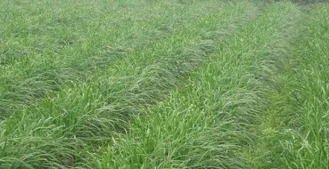 虎贲新财经最新文章