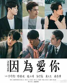 因为爱你2020电视剧-免费在线观看全集高清版-星辰影院