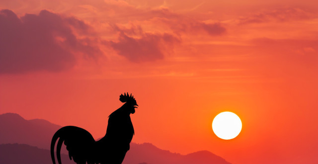 生物的奥秘最新文章