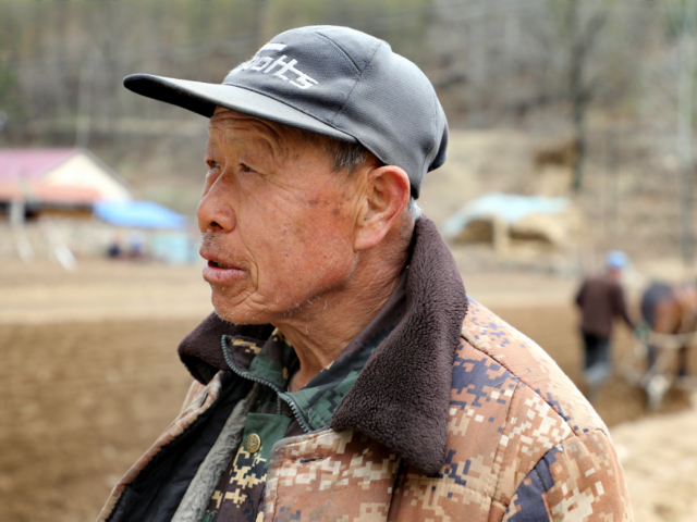 东北农民老法种地:跨乡一天收入800元,扶犁大叔说不落后很实用