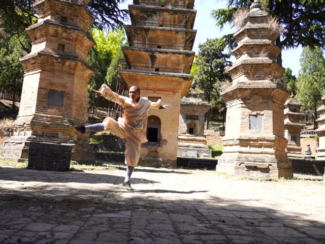 少林鸭子拳,弹抖发劲,内含刚劲,中华民族优秀文化遗产,武当凌云拍