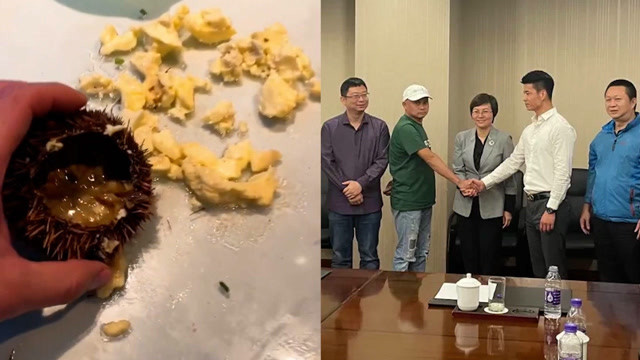 三亚"海胆事件"当事人发文:我维权成功了