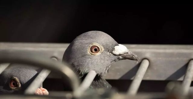 亮子体育迷最新文章