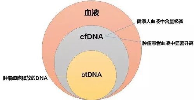 腾讯新闻