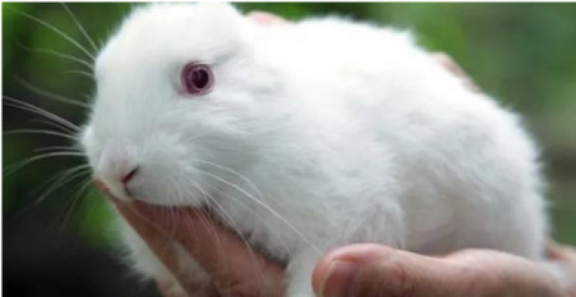 阿伟搞笑最新文章