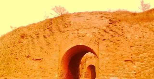 橡树水缘最新文章