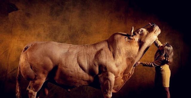 史前巨兽——棘龙