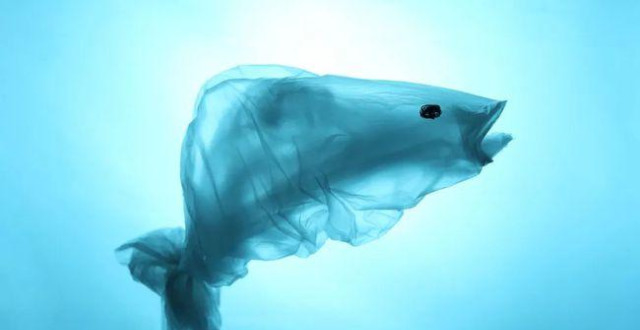 "禁塑"滔天巨浪下,"有袋"环保袋发放机正在掀起一场环保革命"有袋"