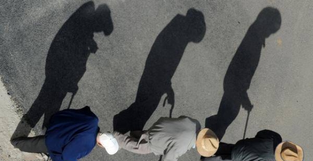 2.4亿单身者的养老之惑：有人想立遗嘱，有人拼命挣钱