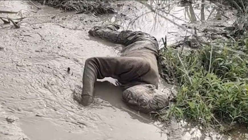 令人心疼!76岁老人深陷沼泽被困1天1夜,儿子含泪答谢救援人员