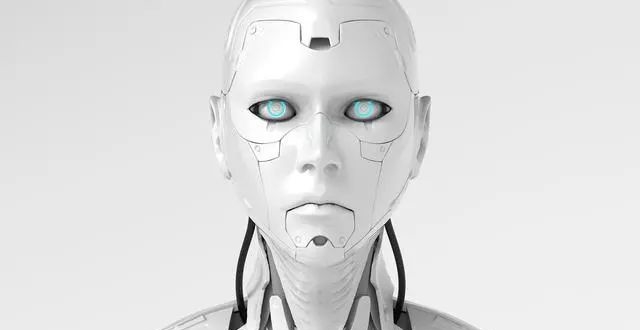 无忧无虑法人最新文章