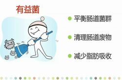 如何有效减肥瘦身不反弹？本文给出了最科学的答案！