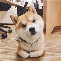 《看病》为了荣誉宋小宝居然要和亚洲舞王尼古