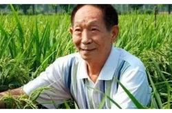 Wan Ziliang은 Yuan Longping을 개인적으로 애도합니다! 63 세, 질병, 주름진 얼굴, 백발