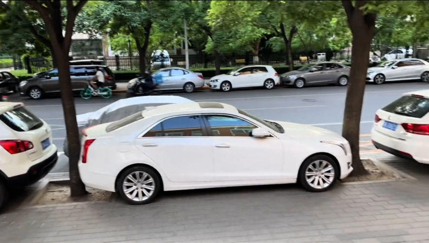 北京现"最牛神停车",将车停进两棵树中间,网友:先停车后栽树?