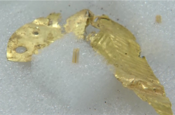 تم العثور على ما يقرب من 60 ورقة ذهبية في حفرة Sanxingdui رقم 8: جو قوي من الطغاة المحليين