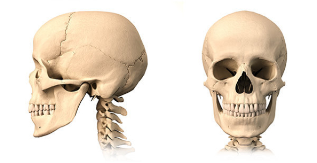 下颌骨肥大颧骨高下巴短大方脸,深度解析