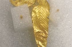 青銅色の頭、金色の葉...三星堆はまた新しいです！