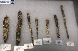 جديد على Sanxingdui! تم العثور على ما يقرب من 60 ورقة ذهبية في الحفرة 8