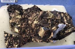 علم الآثار في موقع Sanxingdui: العثور على قطع ذهبية في الحفرة 3 من "حوض الكنز"