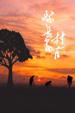 县长当村官封面图