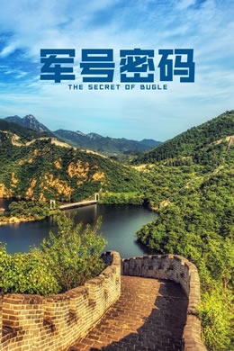 军号密码封面图