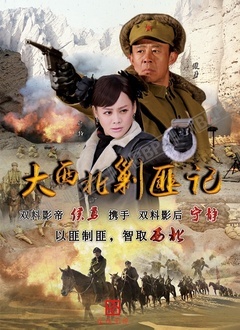 大西北剿匪记封面图