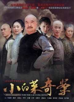 小白菜奇案封面图