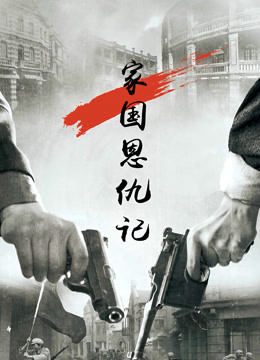 家国恩仇记封面图