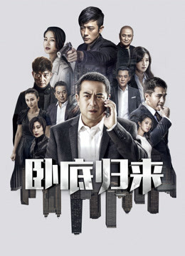 卧底归来封面图