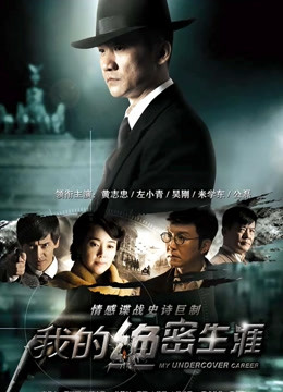 我的绝密生涯封面图