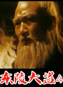 东陵大盗（四）封面图