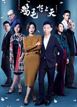 鸡毛飞上天封面图