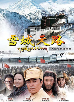 雪域天路封面图