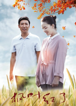 枫叶红了封面图