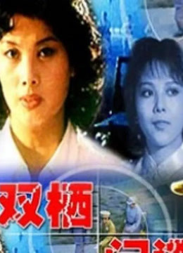 双栖间谍封面图