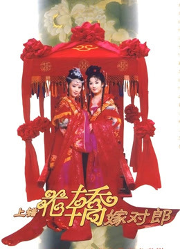 上错花轿嫁对郎封面图