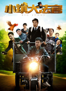 小镇大法官封面图