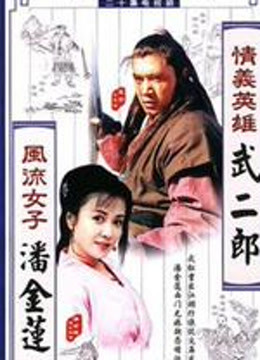 情义英雄武二郎封面图